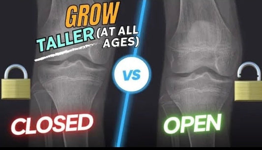 The Shinbone   Lengthening natural method-1